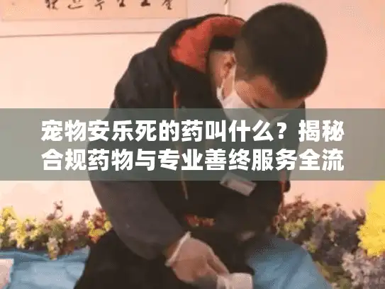 宠物安乐死的药叫什么？揭秘合规药物与专业善终服务全流程