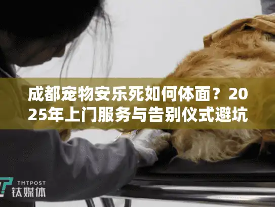 成都宠物安乐死如何体面？2025年上门服务与告别仪式避坑