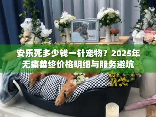 安乐死多少钱一针宠物？2025年无痛善终价格明细与服务避坑