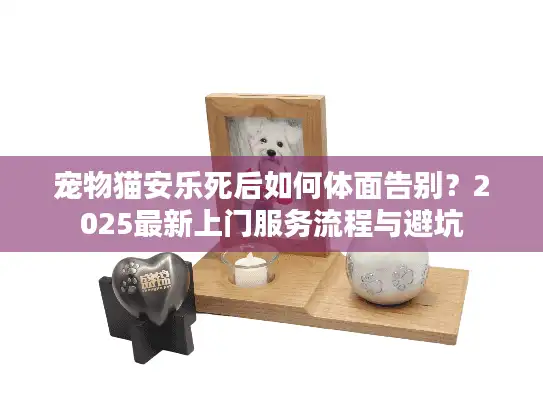 宠物猫安乐死后如何体面告别？2025最新上门服务流程与避坑