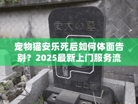 宠物猫安乐死后如何体面告别？2025最新上门服务流程与避坑