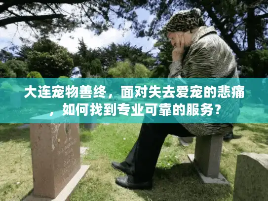 大连宠物善终，面对失去爱宠的悲痛，如何找到专业可靠的服务？