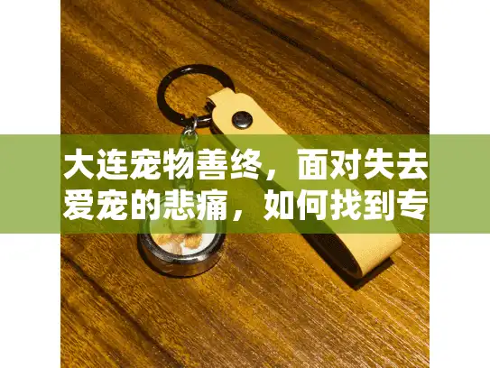 大连宠物善终，面对失去爱宠的悲痛，如何找到专业可靠的服务？