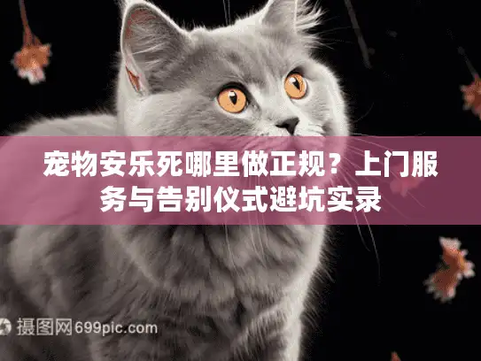 宠物安乐死哪里做正规？上门服务与告别仪式避坑实录
