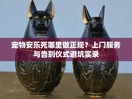 宠物安乐死哪里做正规？上门服务与告别仪式避坑实录