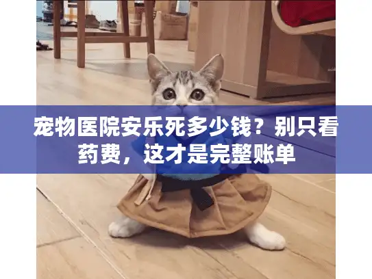 宠物医院安乐死多少钱？别只看药费，这才是完整账单