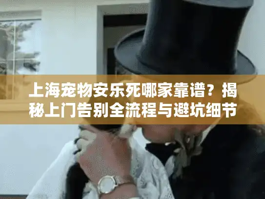 上海宠物安乐死哪家靠谱？揭秘上门告别全流程与避坑细节