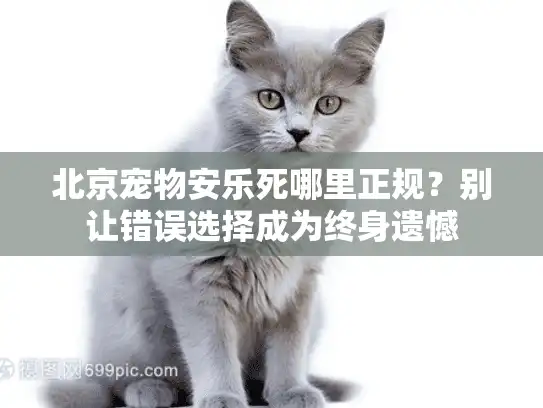 北京宠物安乐死哪里正规？别让错误选择成为终身遗憾