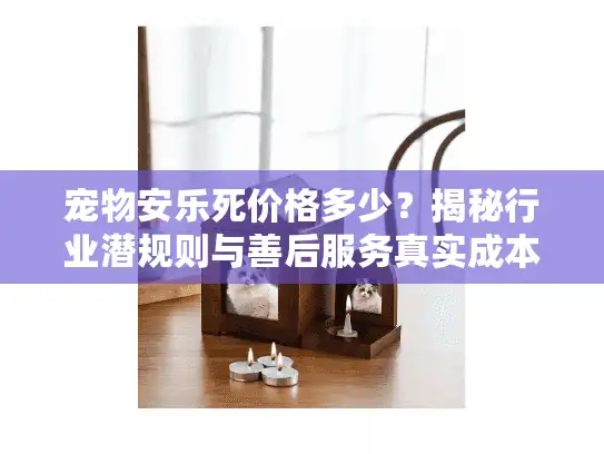 宠物安乐死价格多少？揭秘行业潜规则与善后服务真实成本