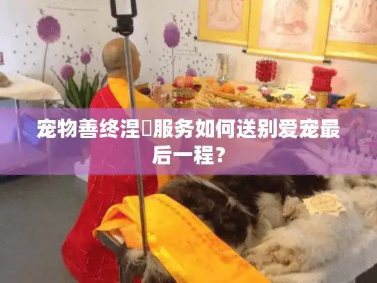 宠物善终涅槃服务如何送别爱宠最后一程？
