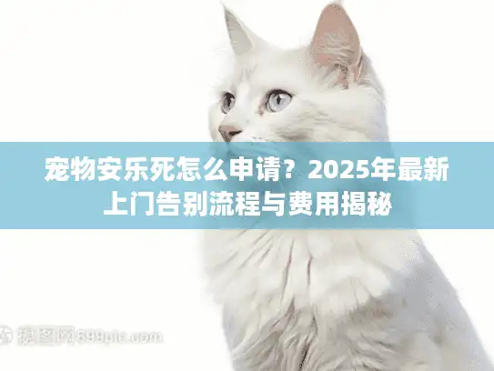 宠物安乐死怎么申请？2025年最新上门告别流程与费用揭秘