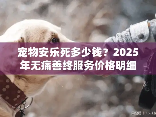 宠物安乐死多少钱？2025年无痛善终服务价格明细与避坑