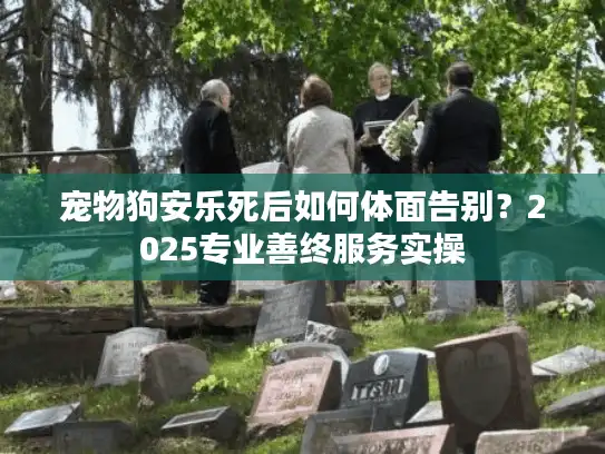 宠物狗安乐死后如何体面告别？2025专业善终服务实操