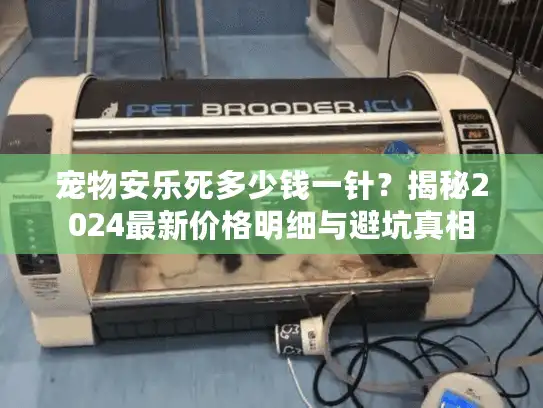 宠物安乐死多少钱一针？揭秘2024最新价格明细与避坑真相