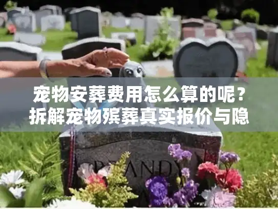 宠物安葬费用怎么算的呢？拆解宠物殡葬真实报价与隐形消费