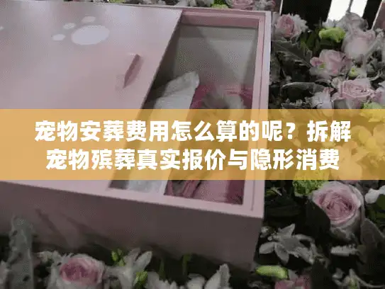 宠物安葬费用怎么算的呢？拆解宠物殡葬真实报价与隐形消费