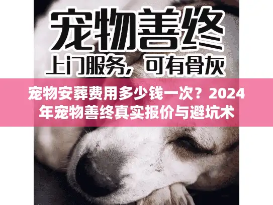 宠物安葬费用多少钱一次？2024年宠物善终真实报价与避坑术