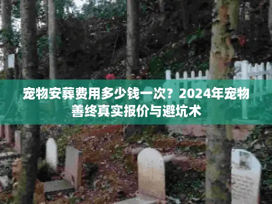 宠物安葬费用多少钱一次？2024年宠物善终真实报价与避坑术