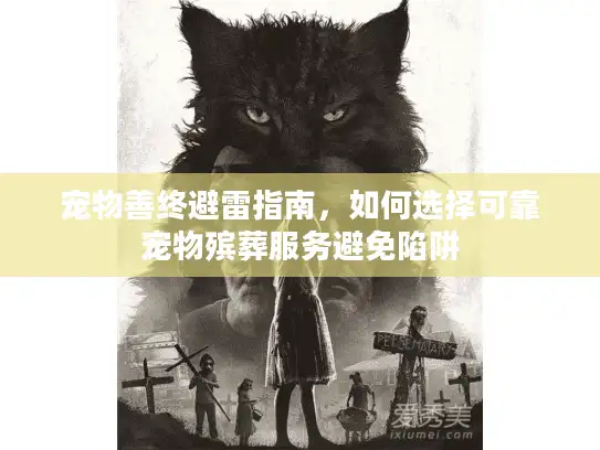 宠物善终避雷指南，如何选择可靠宠物殡葬服务避免陷阱