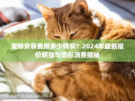 宠物安葬费用多少钱啊？2024年最新报价明细与隐形消费揭秘