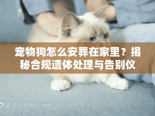 宠物狗怎么安葬在家里？揭秘合规遗体处理与告别仪式
