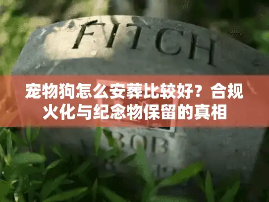 宠物狗怎么安葬比较好？合规火化与纪念物保留的真相