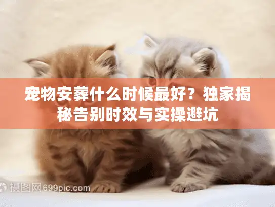 宠物安葬什么时候最好？独家揭秘告别时效与实操避坑
