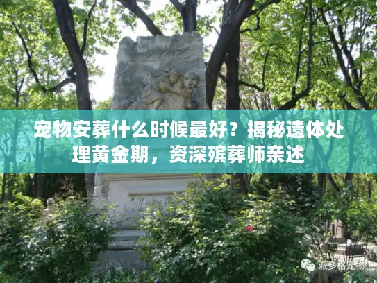 宠物安葬什么时候最好？揭秘遗体处理黄金期，资深殡葬师亲述