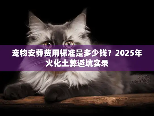 宠物安葬费用标准是多少钱？2025年火化土葬避坑实录