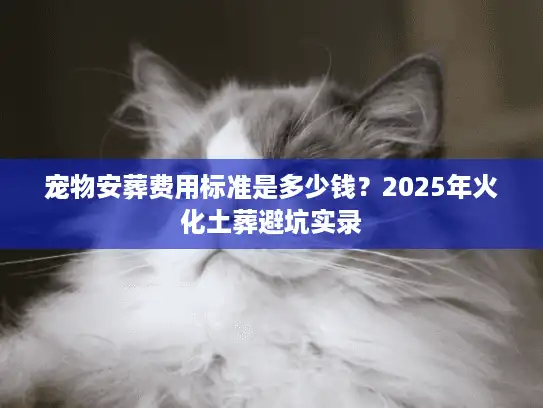 宠物安葬费用标准是多少钱？2025年火化土葬避坑实录