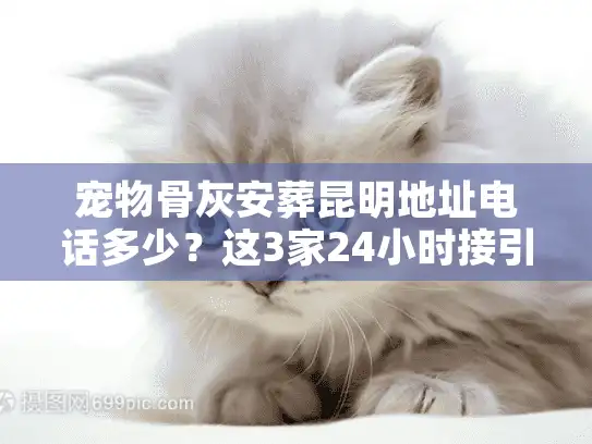宠物骨灰安葬昆明地址电话多少？这3家24小时接引