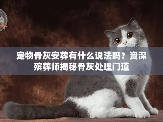 宠物骨灰安葬有什么说法吗？资深殡葬师揭秘骨灰处理门道