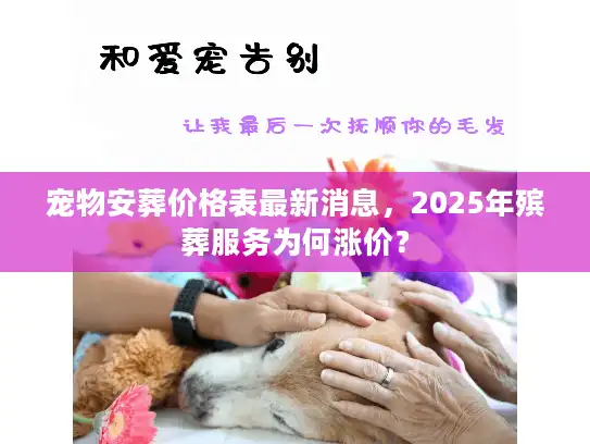 宠物安葬价格表最新消息，2025年殡葬服务为何涨价？