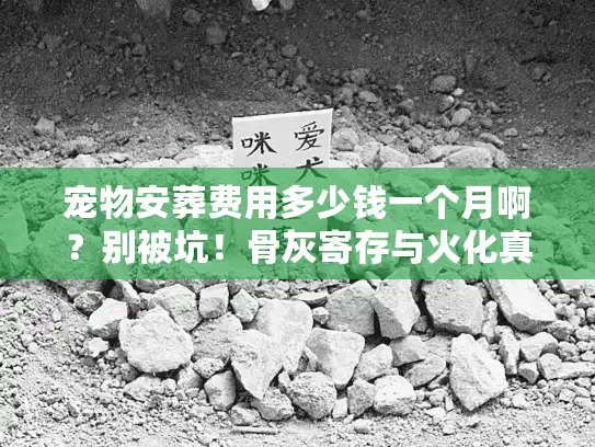 宠物安葬费用多少钱一个月啊？别被坑！骨灰寄存与火化真实报价