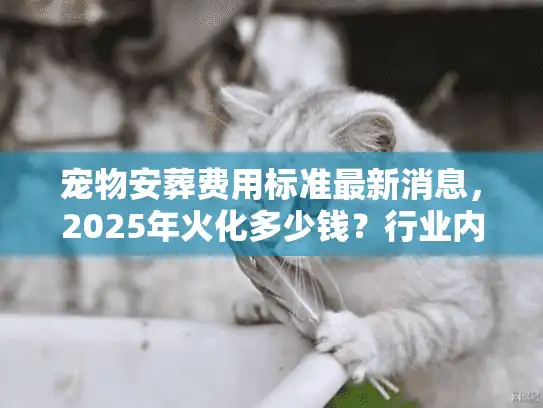 宠物安葬费用标准最新消息，2025年火化多少钱？行业内幕公开