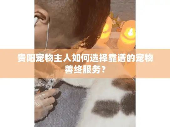 贵阳宠物主人如何选择靠谱的宠物善终服务？