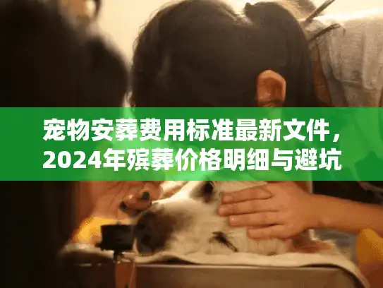 宠物安葬费用标准最新文件，2024年殡葬价格明细与避坑