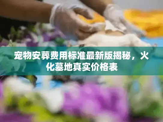 宠物安葬费用标准最新版揭秘，火化墓地真实价格表