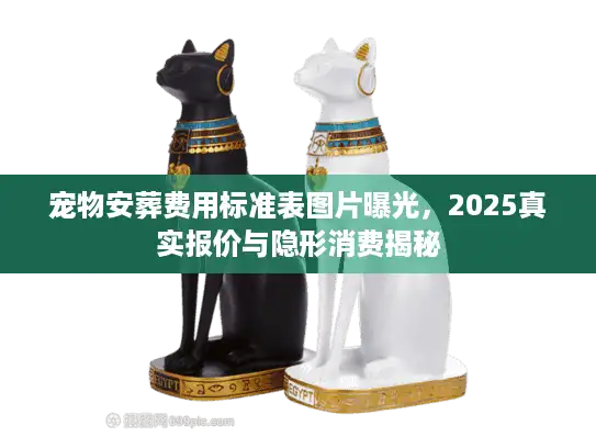 宠物安葬费用标准表图片曝光，2025真实报价与隐形消费揭秘
