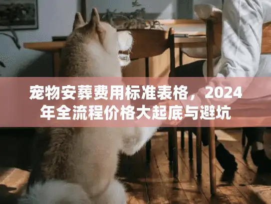 宠物安葬费用标准表格，2024年全流程价格大起底与避坑