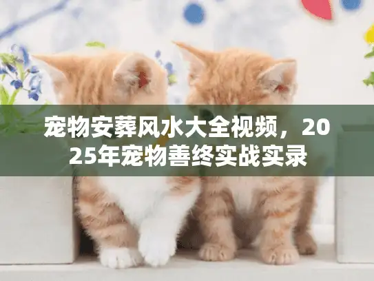 宠物安葬风水大全视频，2025年宠物善终实战实录