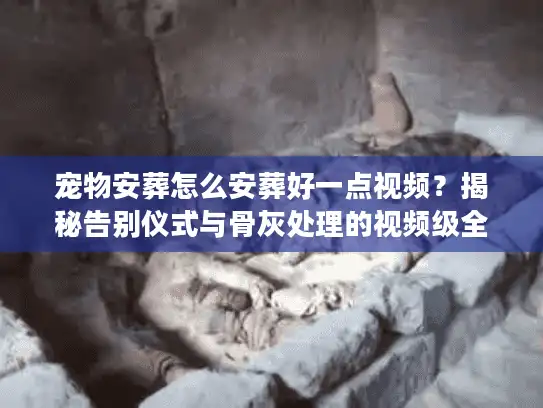 宠物安葬怎么安葬好一点视频？揭秘告别仪式与骨灰处理的视频级全流程