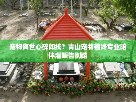 宠物离世心碎如绞？青山宠物善终专业陪伴温暖告别路