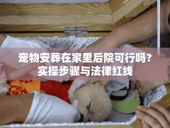 宠物安葬在家里后院可行吗？实操步骤与法律红线