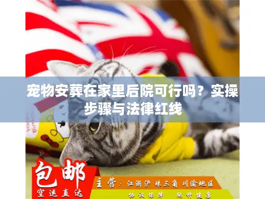 宠物安葬在家里后院可行吗？实操步骤与法律红线