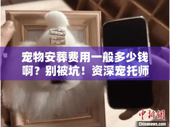 宠物安葬费用一般多少钱啊？别被坑！资深宠托师披露殡葬内幕