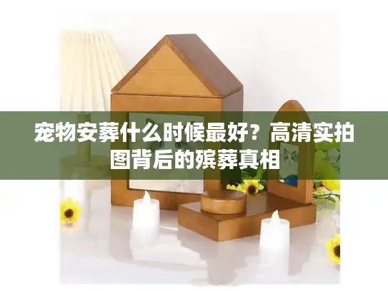 宠物安葬什么时候最好？高清实拍图背后的殡葬真相