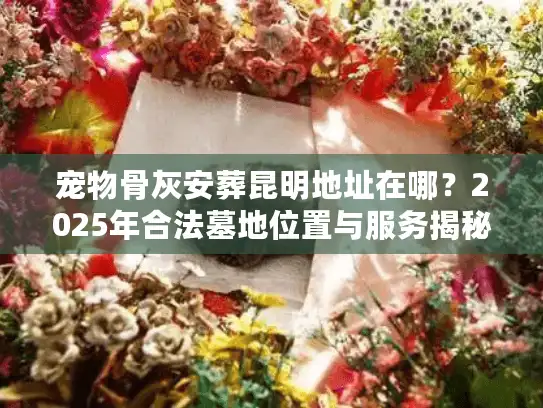 宠物骨灰安葬昆明地址在哪？2025年合法墓地位置与服务揭秘