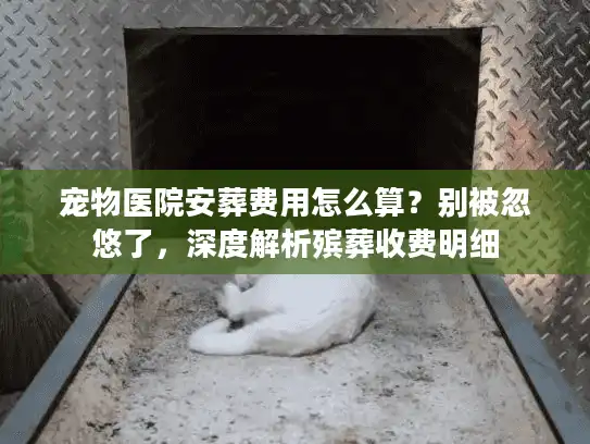 宠物医院安葬费用怎么算？别被忽悠了，深度解析殡葬收费明细