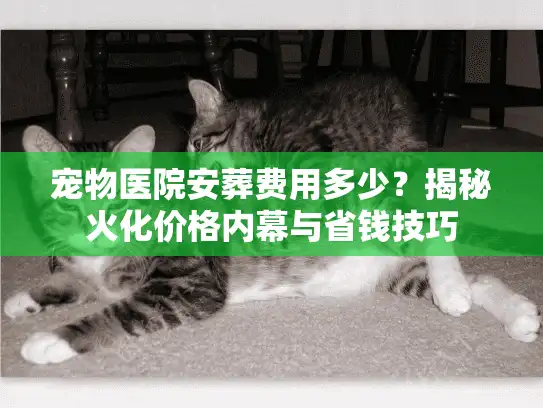 宠物医院安葬费用多少？揭秘火化价格内幕与省钱技巧